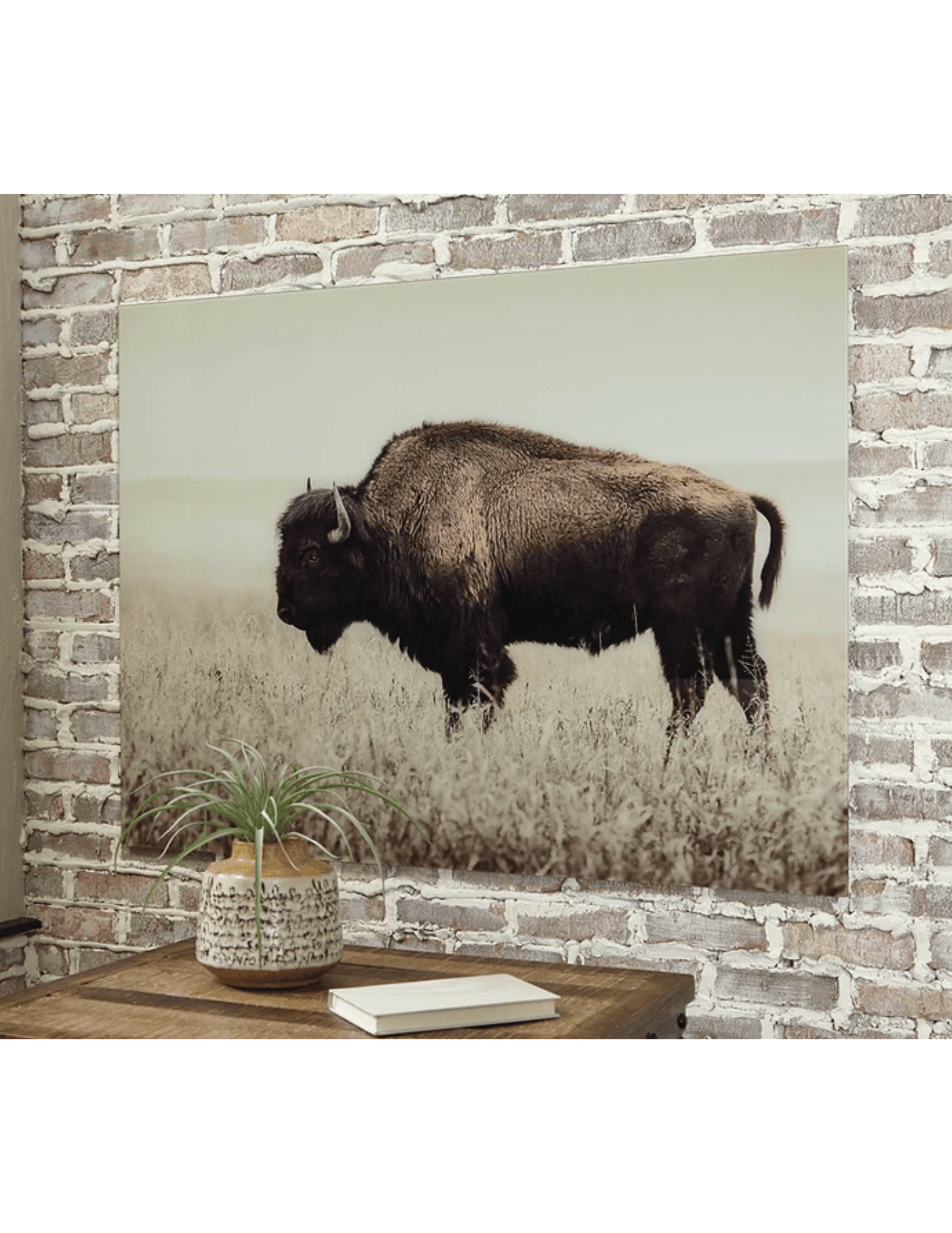 Brutus Wall Art - Castle Furniture & Appliances