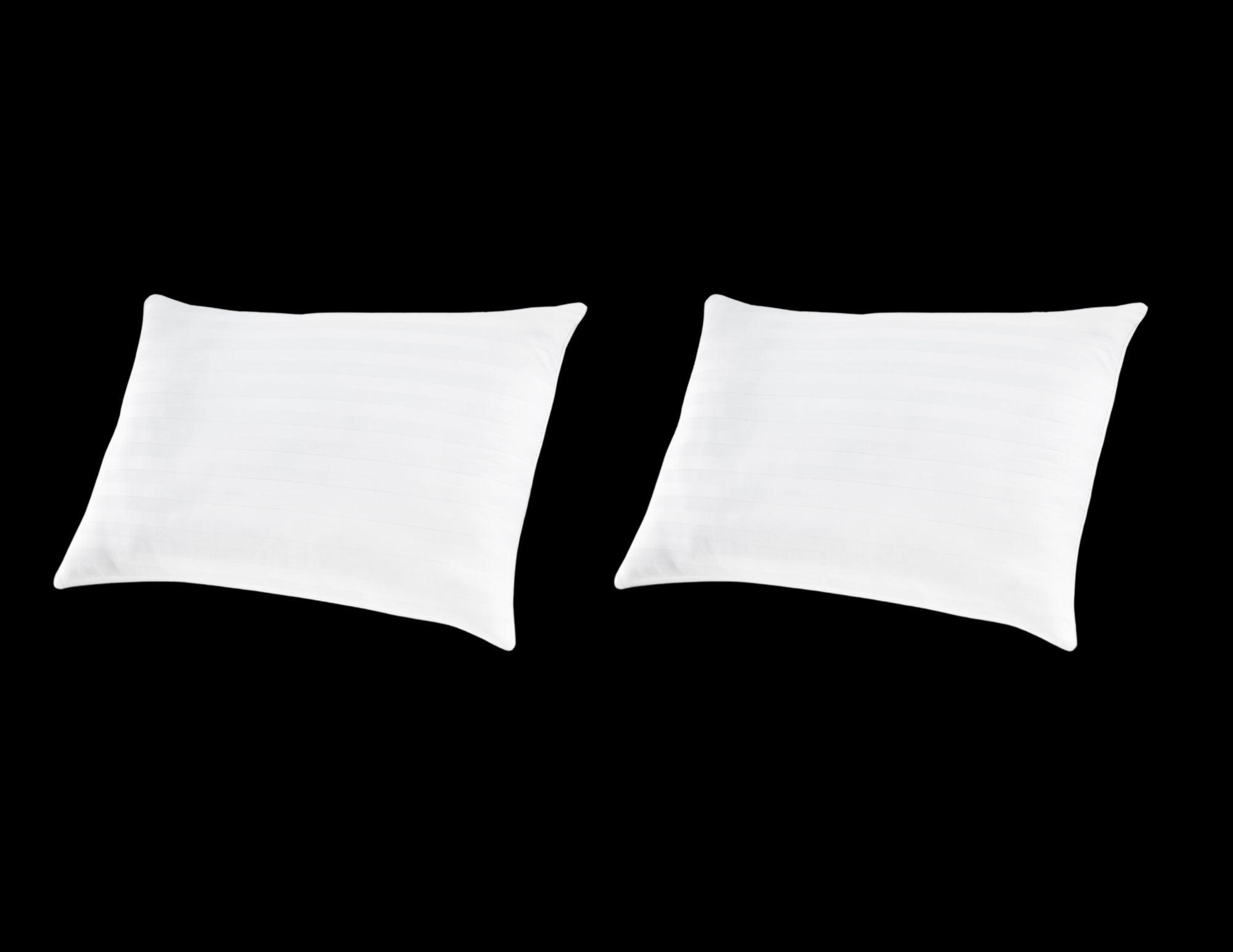 Ashley Zephyr Pillows (2Count)