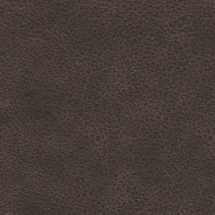WillowBend  Umber Sofa